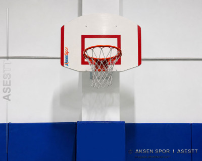 USA Duvara Monte Basketbol Potası