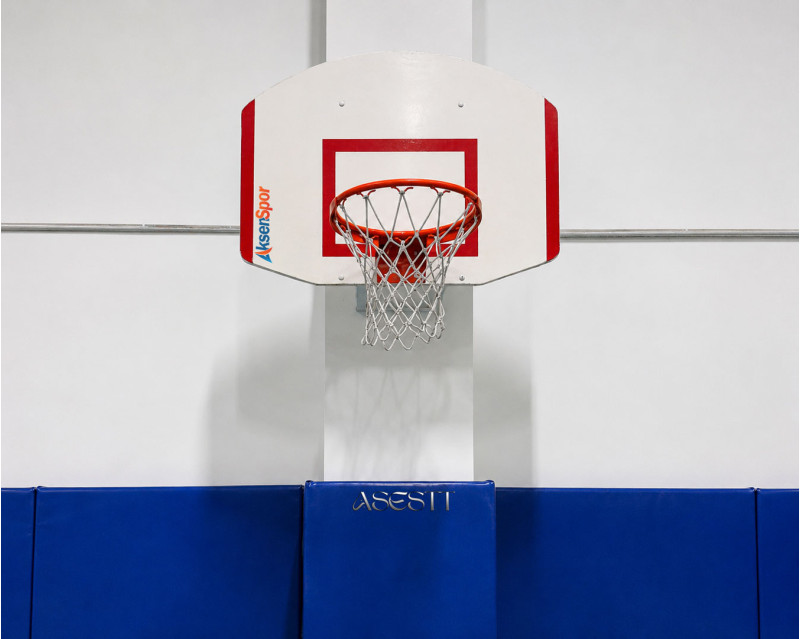 USA Duvara Monte Basketbol Potası