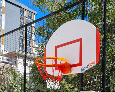 USA Duvara Monte Basketbol Potası