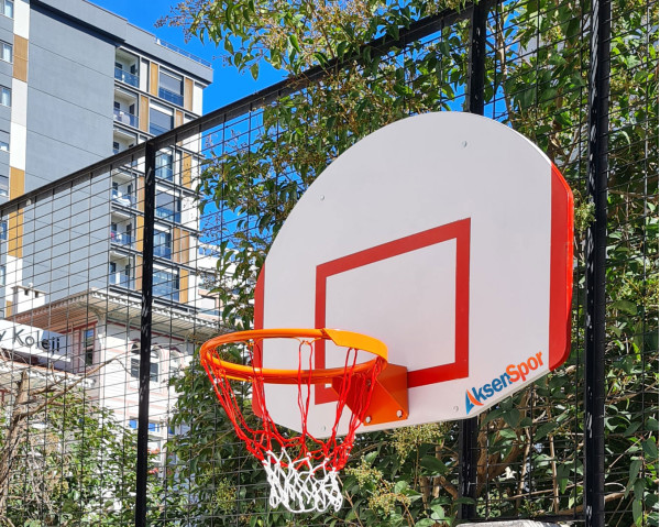 USA Duvara Monte Basketbol Potası