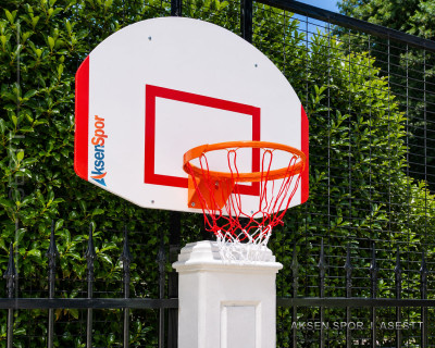 USA Duvara Monte Basketbol Potası